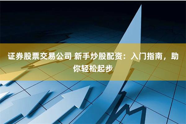 证券股票交易公司 新手炒股配资：入门指南，助你轻松起步