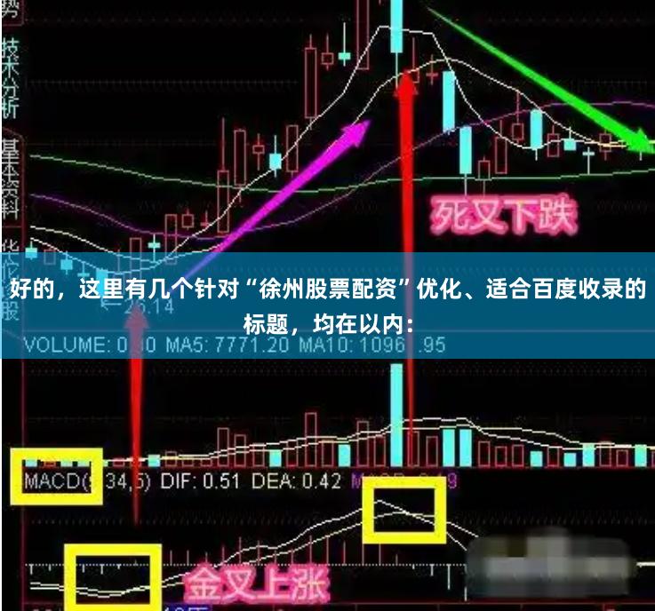 好的，这里有几个针对“徐州股票配资”优化、适合百度收录的标题，均在以内：